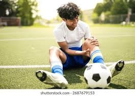 《宝可梦剑盾》中文实机预告 11月15日正式发售